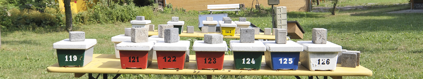Viele Bienenstöcke, numeriert ©DLR